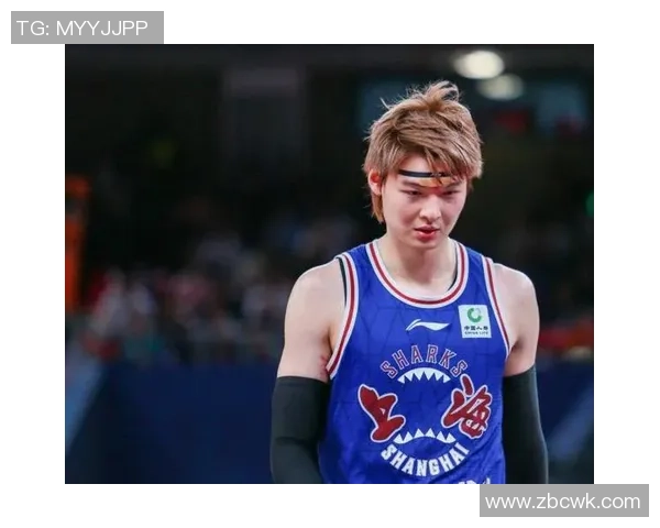 王哲林在CBA赛场的崛起与挑战：从新星到领袖的成长之路